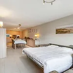 Luxury With Garden Close To The
